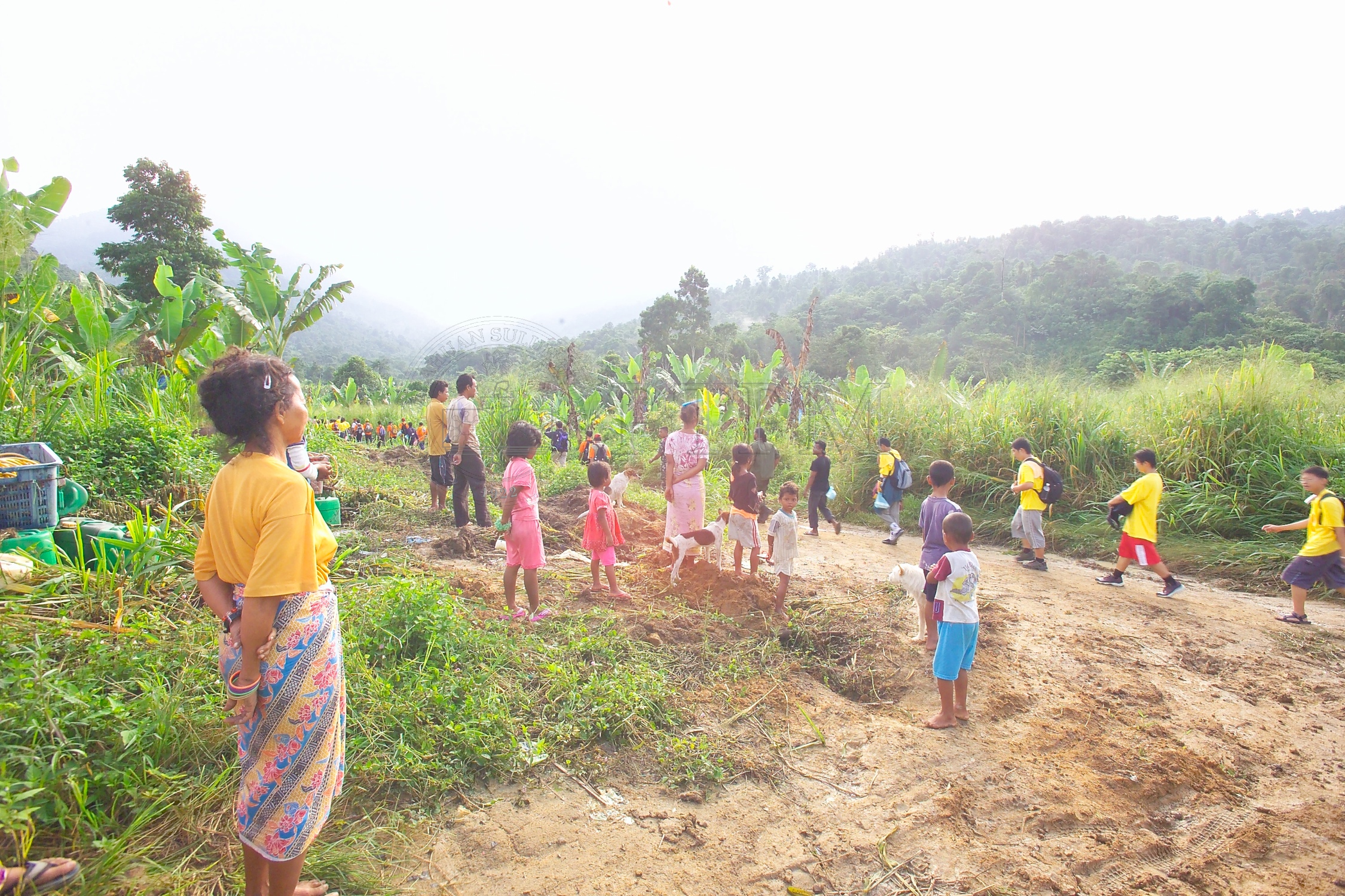 PTPM 06 31 kilau D9X44155